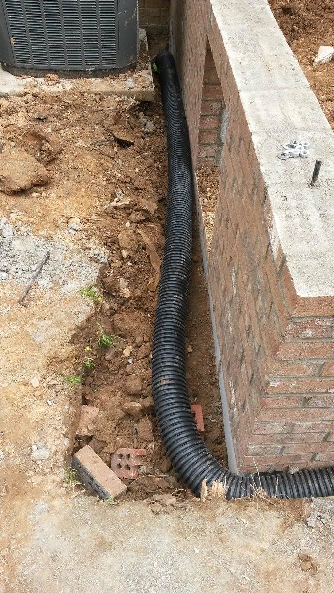 17097263_1769240530069856_5829848082647618727_o